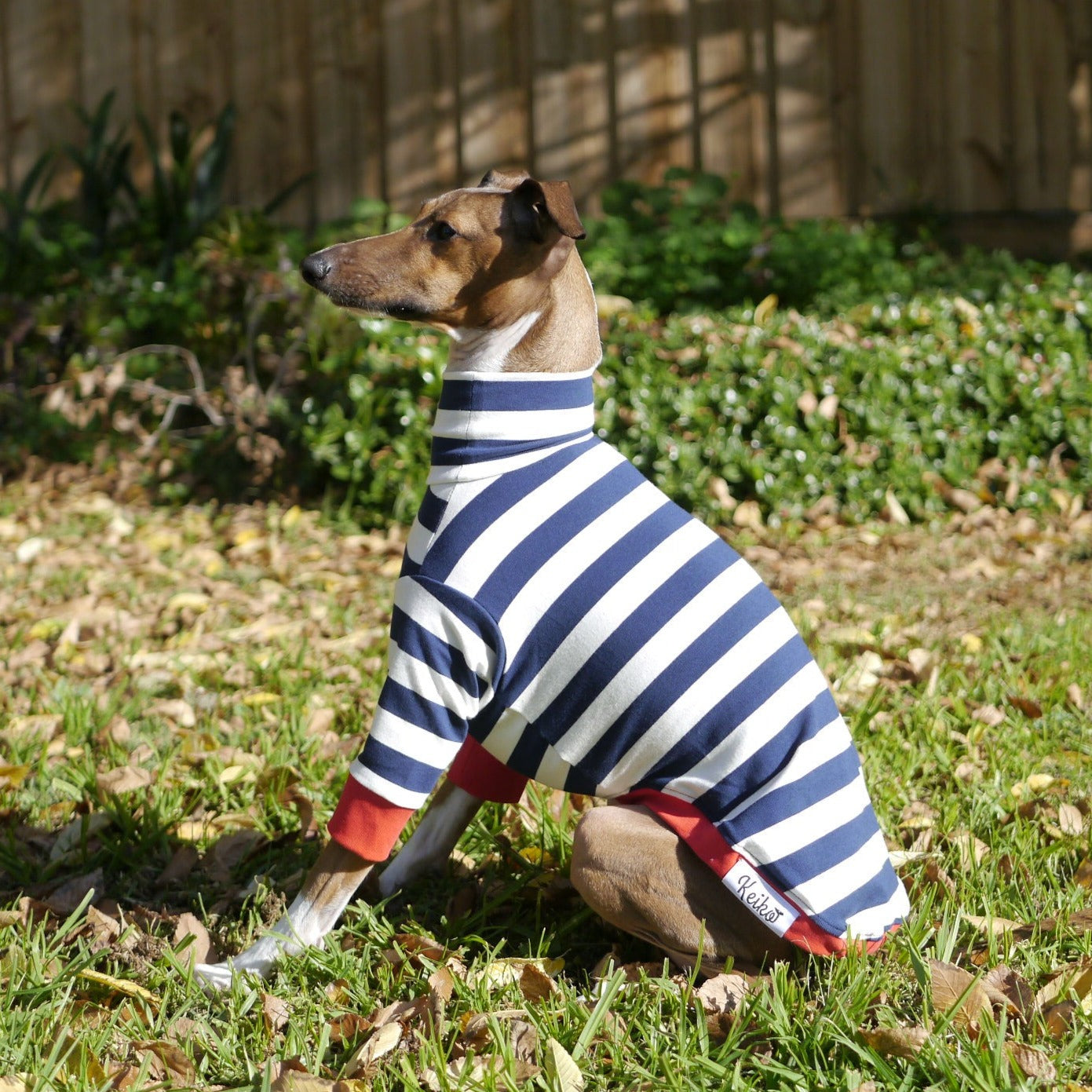 Italian hotsell greyhound jumpers