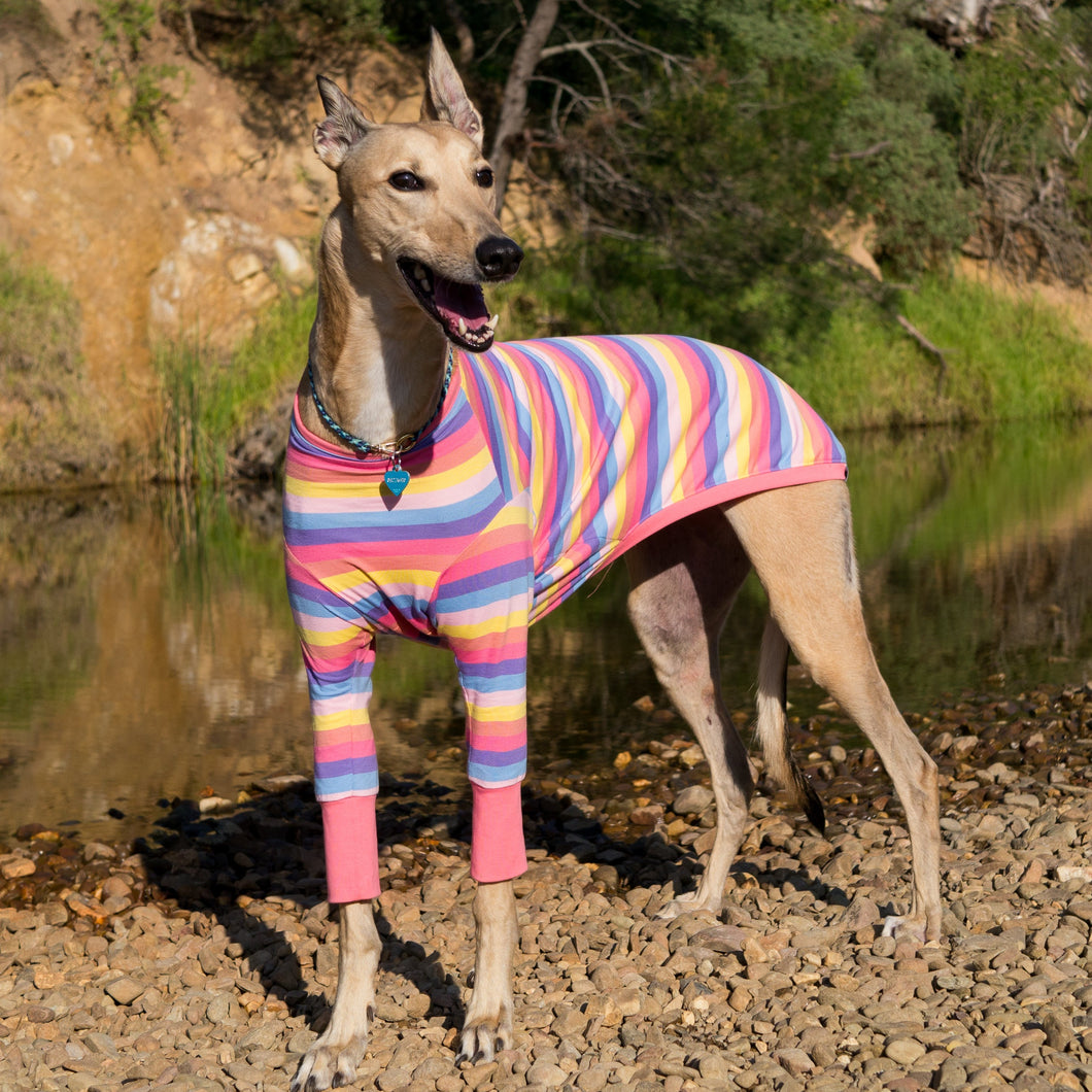 Candy Cuff - Whippet Dog Clothing & Coats