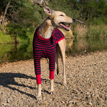 Load image into Gallery viewer, Blaze Runner - Whippet Dog Clothing &amp; Coats
