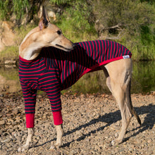 Load image into Gallery viewer, Blaze Runner - Whippet Dog Clothing &amp; Coats
