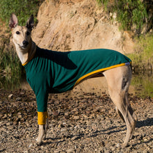 Load image into Gallery viewer, Emerald Hound - Greyhound Dog Clothing &amp; Coats
