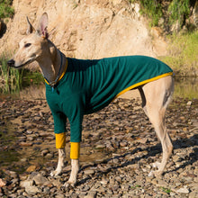 Load image into Gallery viewer, Emerald Hound - Greyhound Dog Clothing &amp; Coats
