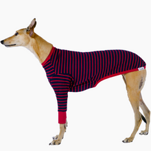 Load image into Gallery viewer, Blaze Runner - Whippet Dog Clothing &amp; Coats
