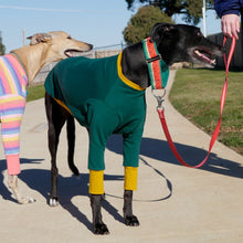 Load image into Gallery viewer, Emerald Hound - Greyhound Dog Clothing &amp; Coats
