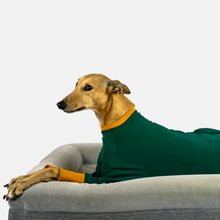 Load image into Gallery viewer, Emerald Hound - Greyhound Dog Clothing &amp; Coats
