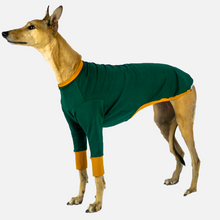 Load image into Gallery viewer, Emerald Hound - Whippet Dog Clothing &amp; Coats
