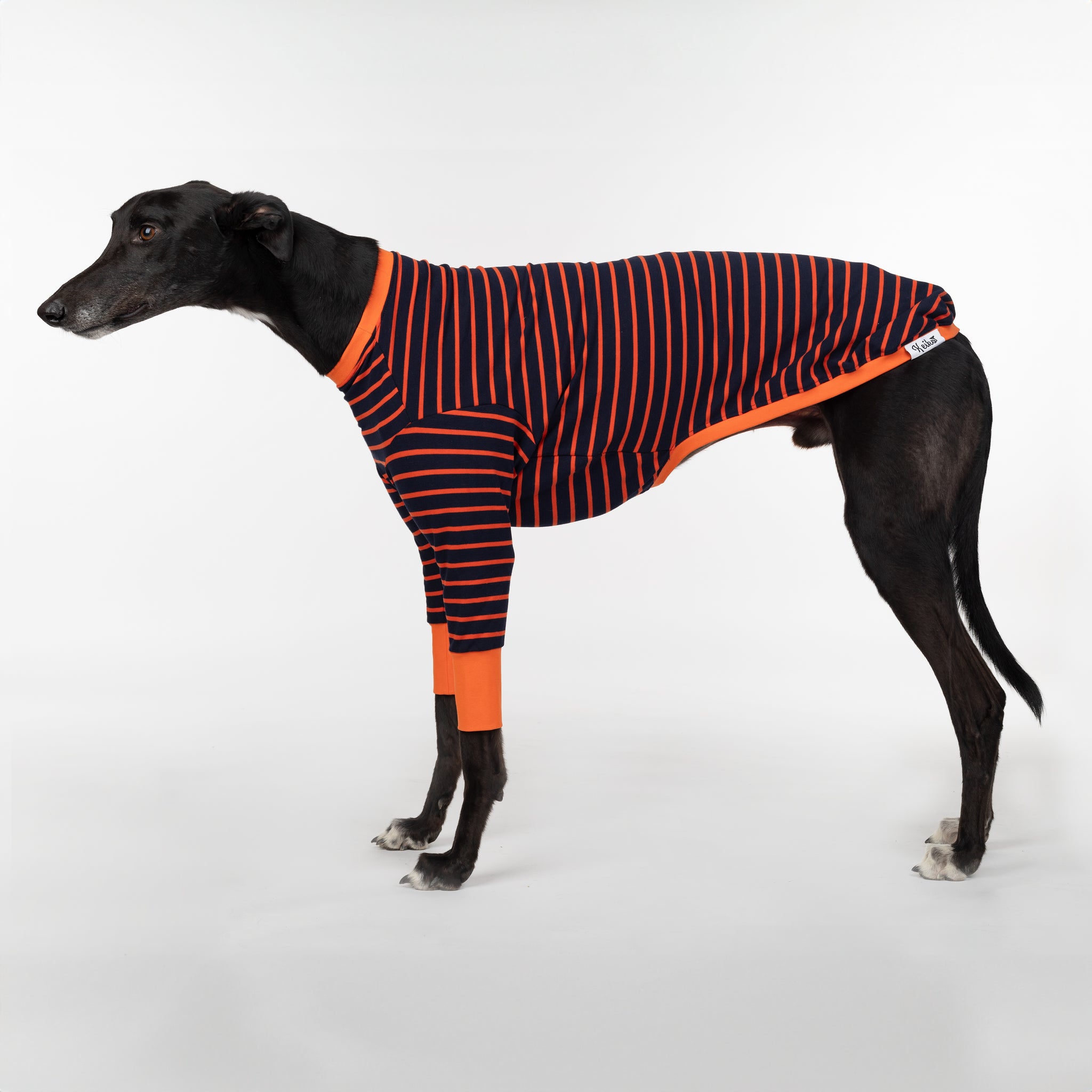 Sighthound clothing shop