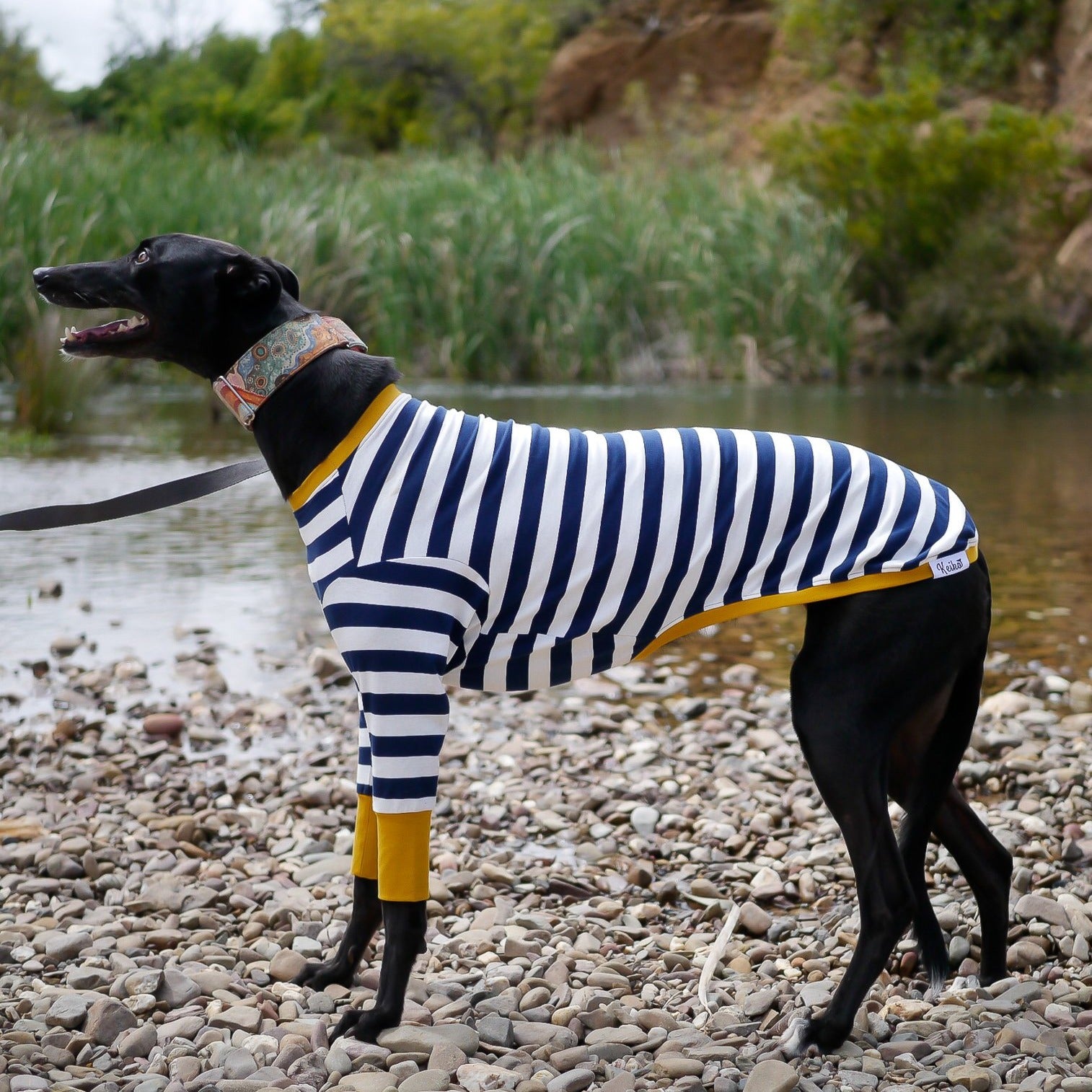 Sailor Mustard Greyhound Clothing Keiko Dogs